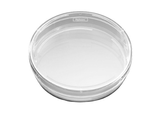 Corning 353003 DISH 100X20MM TC